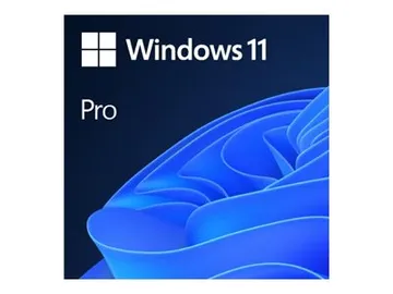 Microsoft Windows 11 Professionnel — 1 licence, 64-bit, anglais