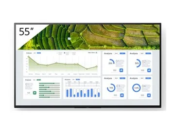 Sony Bravia Professional Displays FW-55BZ30L