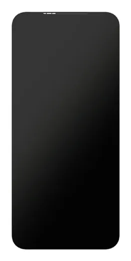 Fairphone F6DISP-1ZW-WW1