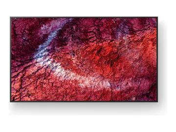 Sony Bravia Professional Displays FW-55BZ40P