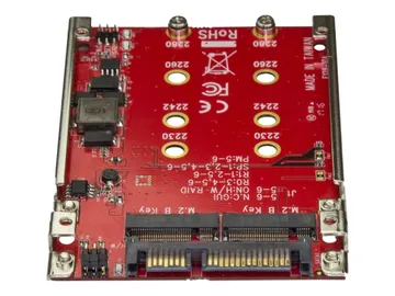 StarTech.com Startech Adaptateur pour deux disques SSD M.2 vers SATA