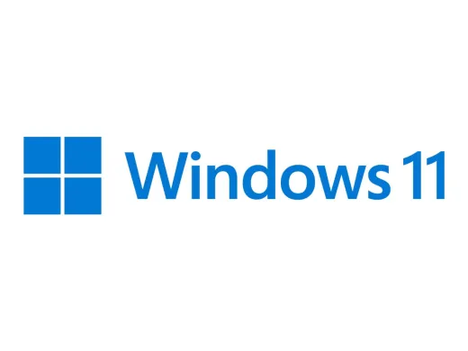 Microsoft Windows 11 Pro N