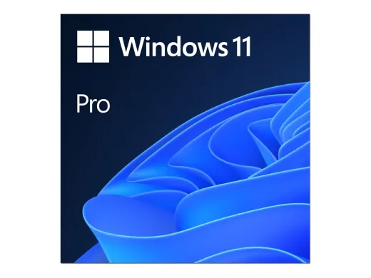 Microsoft Windows 11 Professionnel — 1 licence, 64-bit, Revente nationale