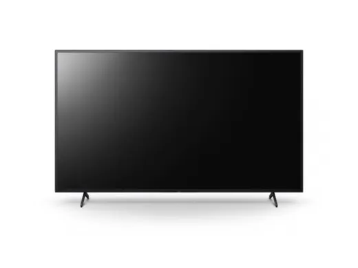 Sony Bravia Professional Displays FW-55BZ35L
